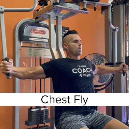 Seated chest fly machine