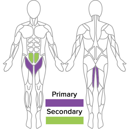Standing Banded Adduction Muscles Used