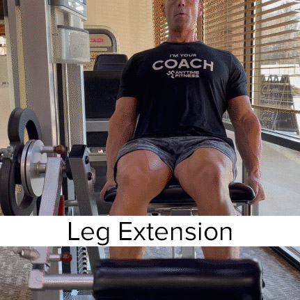 Leg extension Machine 