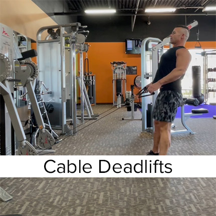 Cable Deadlifts on Freemotion