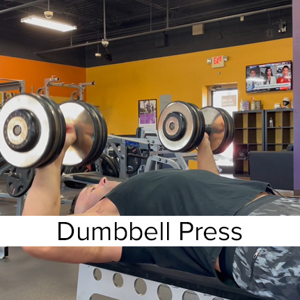 Dumbbell Chest Press