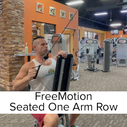 Seated One Arm Cable High Row Exercise