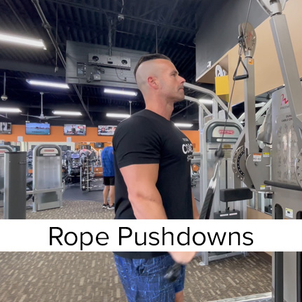 Tricep Cable Pushdown