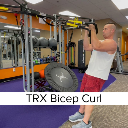 bicep curl using trx