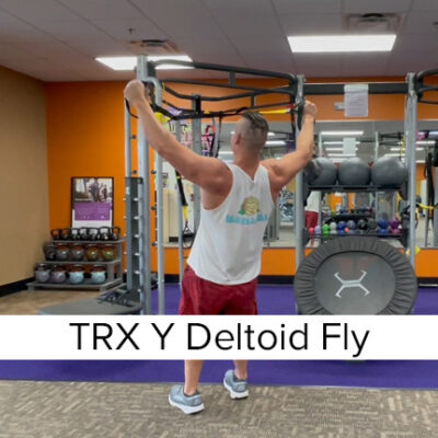 TRX Y Deltoid Fly