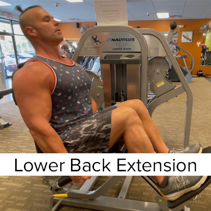 Lower Back Extension Machine