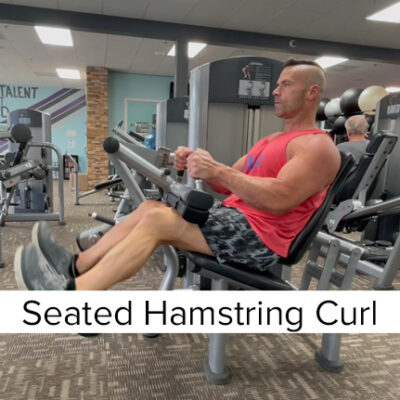 Seated Hamstring Curl Machine