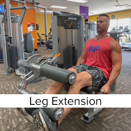 Precor Leg Extension Machine
