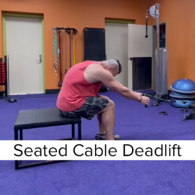 seated cable deadlift