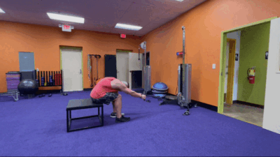 seated cable deadlift
