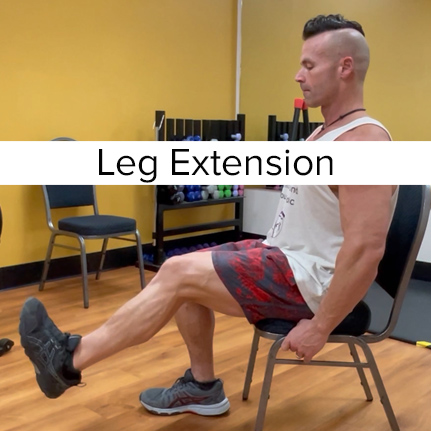 Knee Rehabilitation 