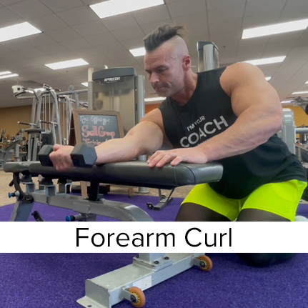 Forearm Curl with Dumbbells