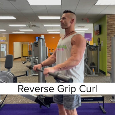 Reverse Grip Curl
