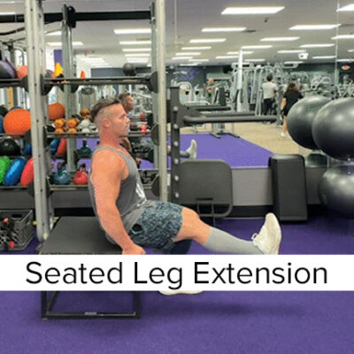 Seated Leg Extension (Bodyweight Version)