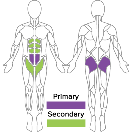 Standing Row Muscles Used