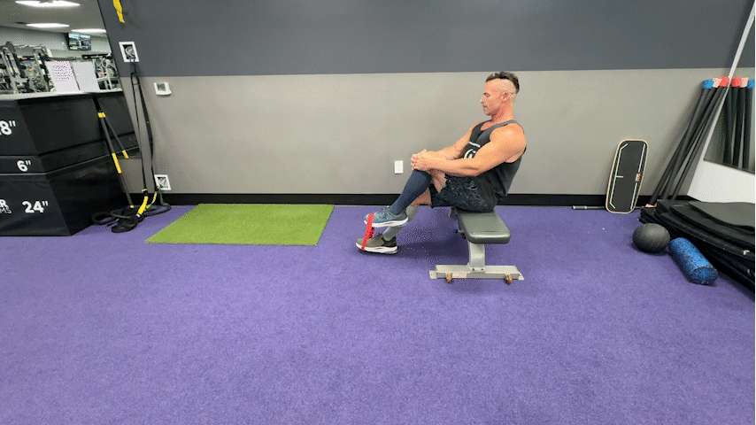 TPI Golfers Ankle Stabilitty