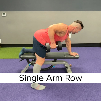 Single Arm Dumbbell Row