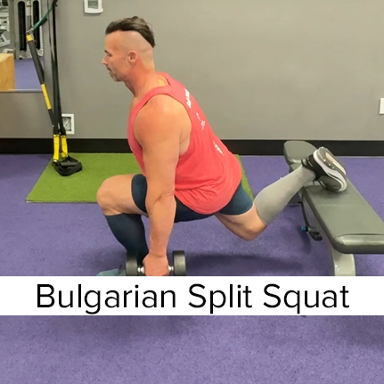 Bulgarian Split Squat
