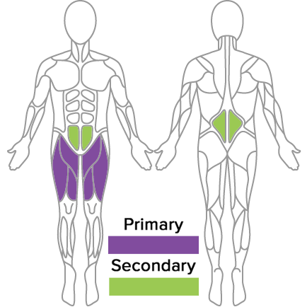 Standing Row Muscles Used