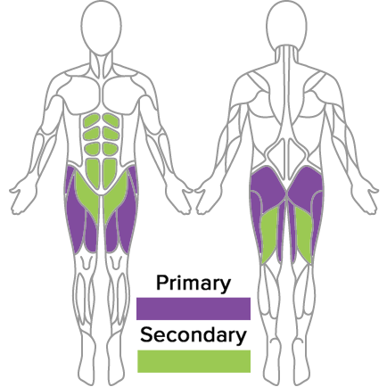 muscles used in golf fitness