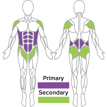 muscles used in golf fitness