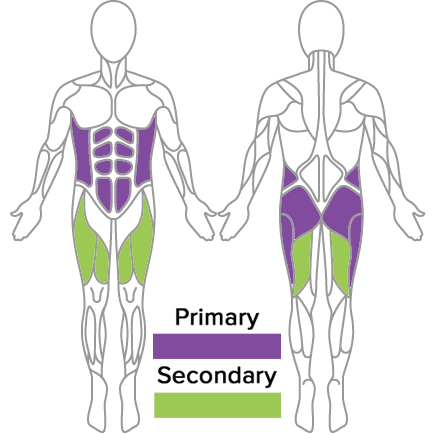 muscles used in golf fitness