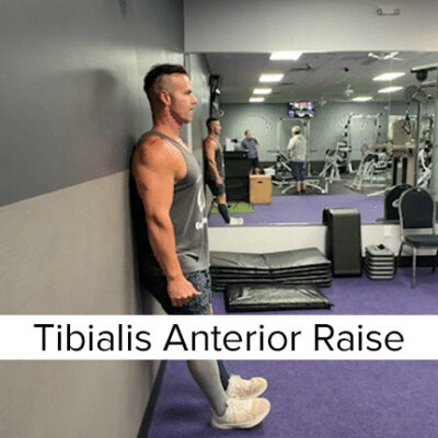 Tibialis Anterior Raise