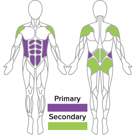 muscles used in tpi golf fitness