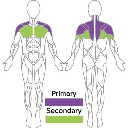 muscles used in tpi golf fitness